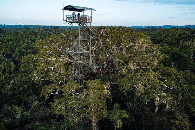 Anakonda Amazon's 5-Day Itinerary Day Four - Jungle Observation Tower.