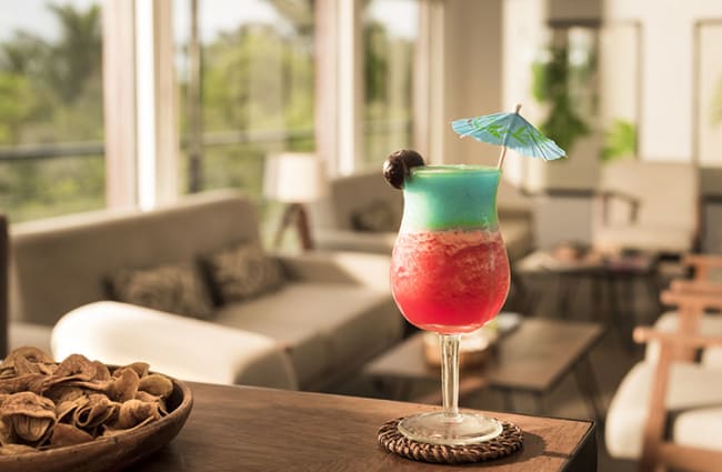 Red and green cocktail on the bar