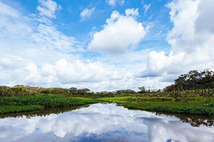 Anakonda Amazon's 5-Day Itinerary Day Two - River Views.