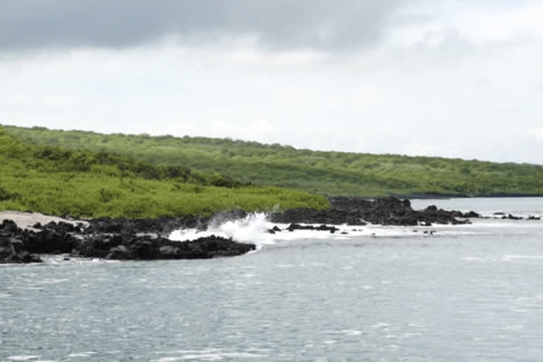 Angel Yacht - 7-day Cruise 