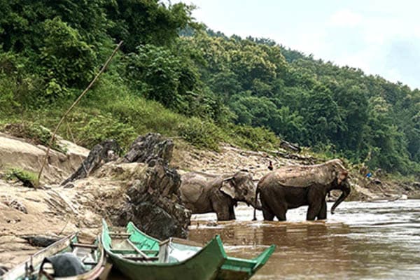 Anouvong - Golden Triangle Traverse: Luang Prabang - Huay Ting - Day 3