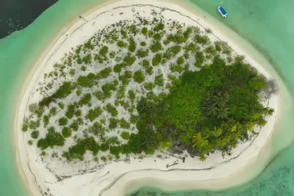 Aqua Lares - Aldabra & Seychelles’ Outer Islands​ - Day 8