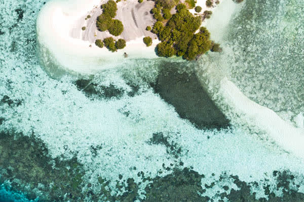 Celestia - Komodo National Park - Day 3