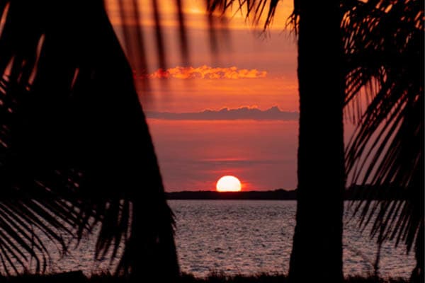 Celestia - Maumere - Ambon - Day 7