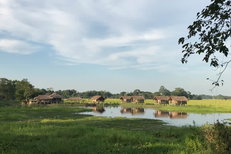 Charaidew II - River Island Cruise - Day 6