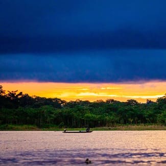 Evening in the Rainforest