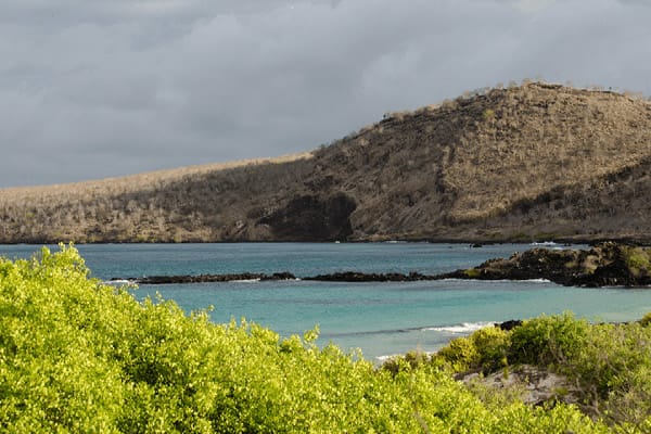 Natural Paradise’s 8-Day Itinerary B Day Five - Island Landscapes.