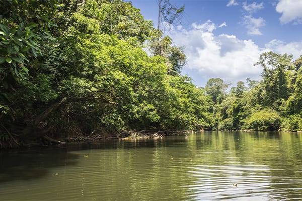 Galaxy Zibó - A Itinerary Golfito - Quepos