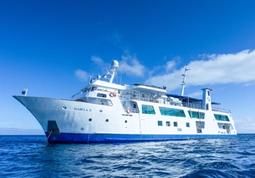 Isabela II seen from the water level