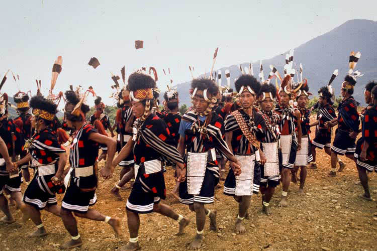 Kindat Pandaw - Nagaland's Hornbill Festival & Brahmaputra Expedition - Day 11