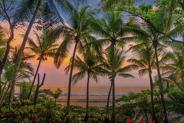 Kontiki - Pura Vida Costa Rica