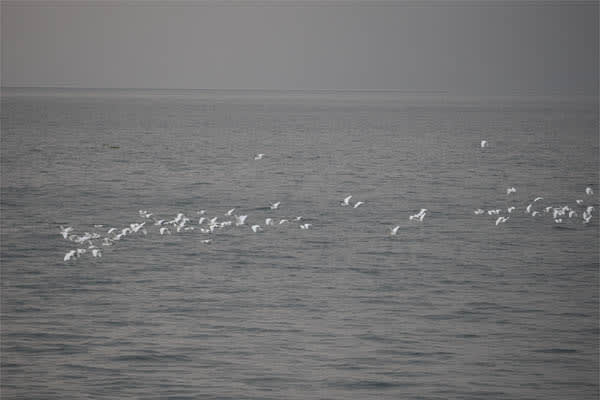 Moksha Pradana - Peaceful Escape on Lake Toba - Day 1