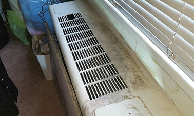 MOLD 4.jpg