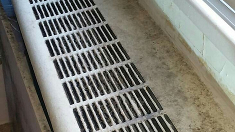 MOLD 4.jpg