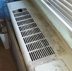 MOLD 4.jpg