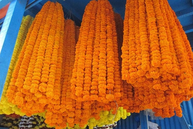 Rajmahal - Historic Hugli : Kolkata - Farakka - Day 6