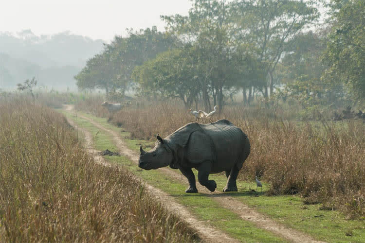 Sukapha - River Island Cruise - Day 4